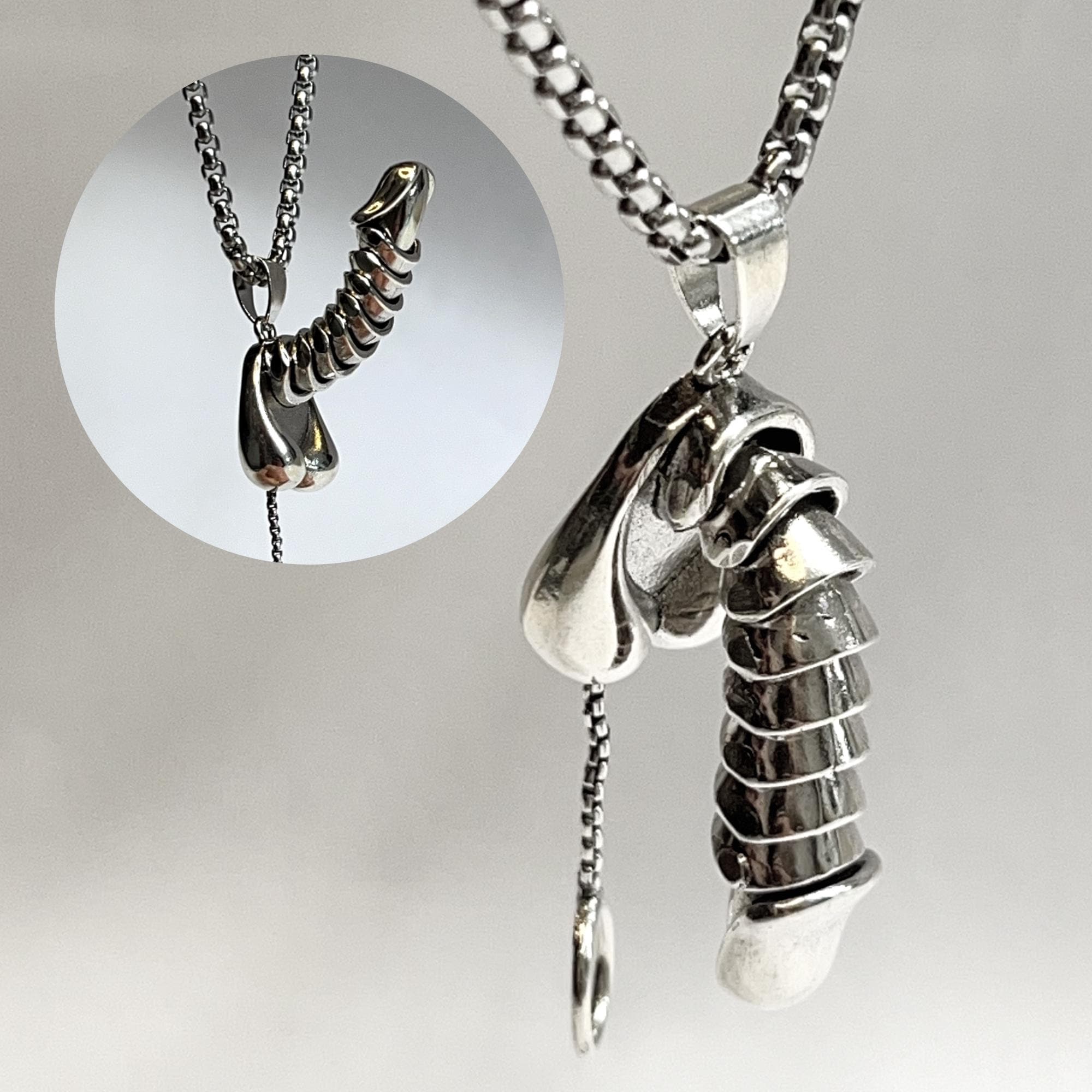 Penis Pendant Necklace, Stainless steel penis pendant necklace, Cock Jewelry, Necklace for Mens, Penis Jewelry, Gift for Her, Gift for Mens