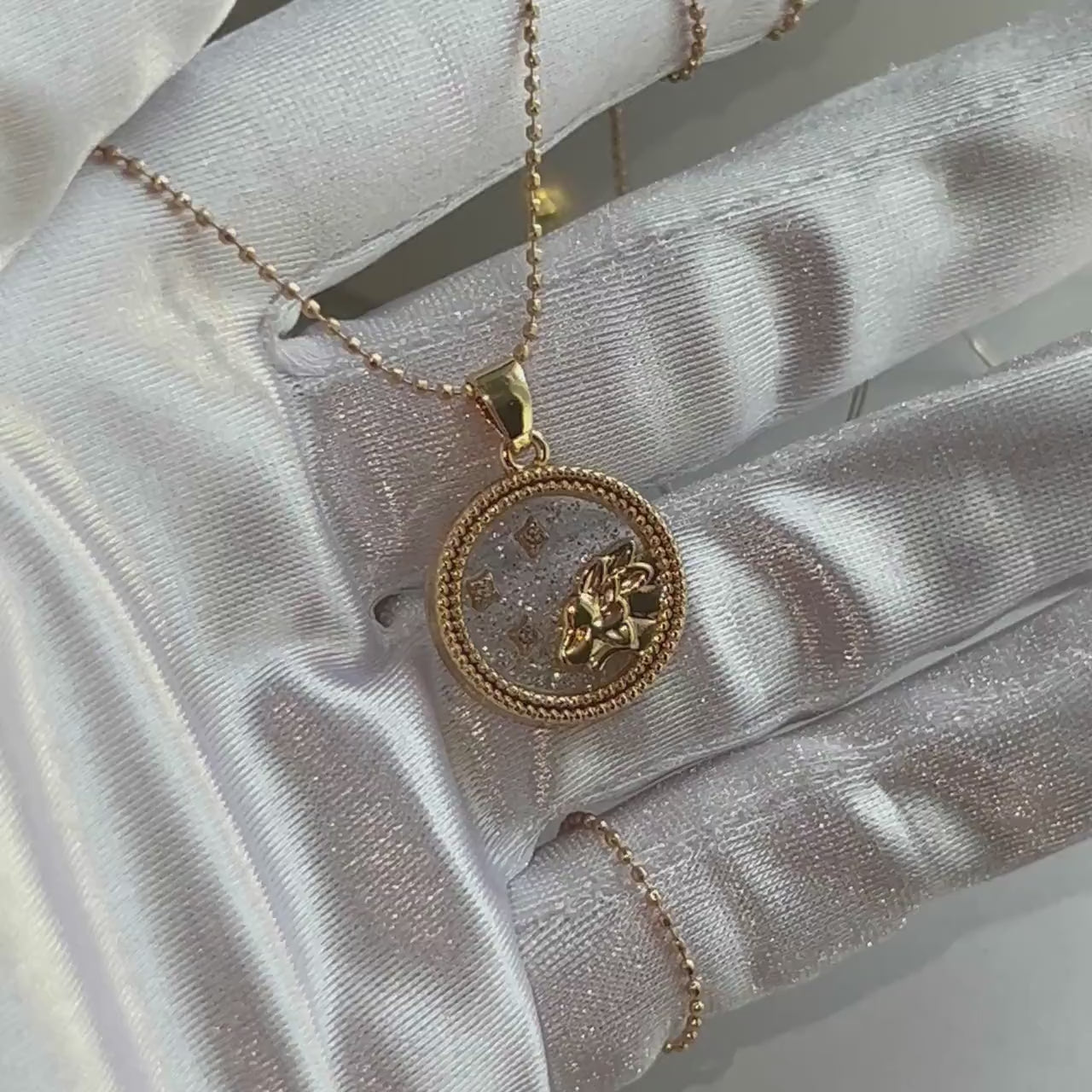 Zodiac Necklace, Astrology Gift, Birthday or Anniversary Gift for Her, Zodiac Jewelry, Pisces, Aries, Gemini, Cancer, Aquarius, Leo, Virgo